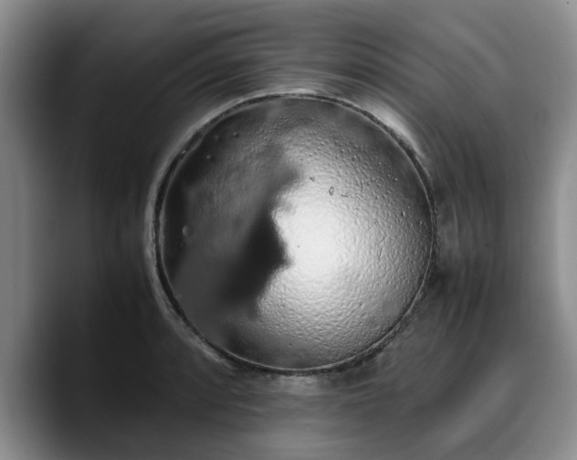 X0000090491088200707201533