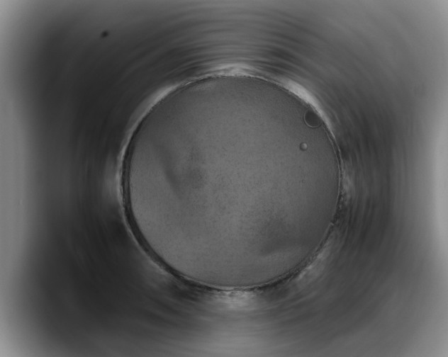 X0000090491090200707201533