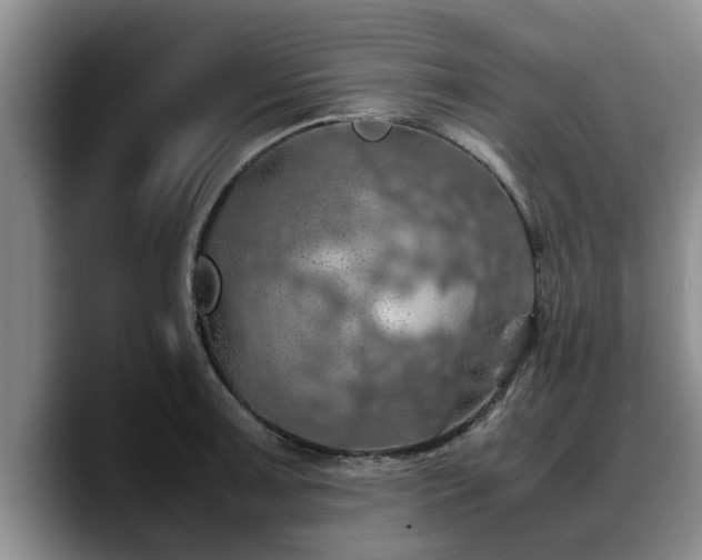 X0000090491091200707201533