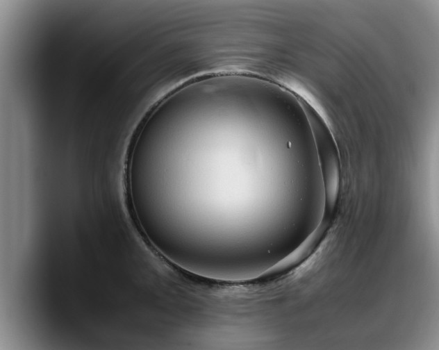 X0000090491093200707201533