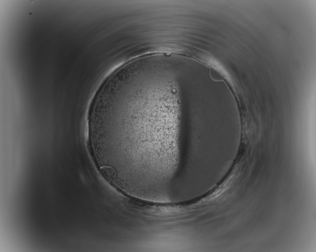 X0000090491095200707201533