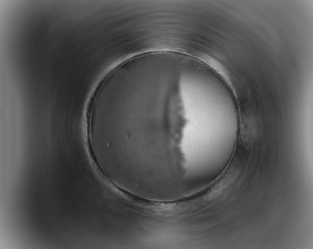 X0000090491096200707201533