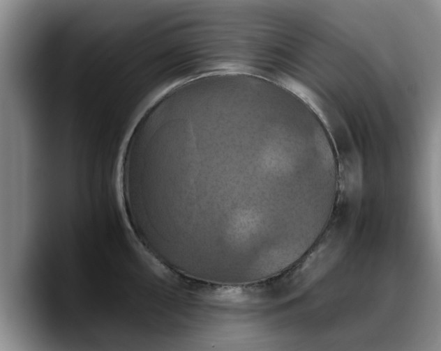 X0000090491098200707201533