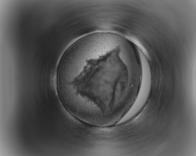 X0000090491100200707201533