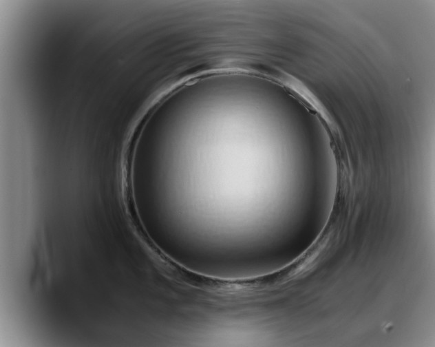 X0000090491101200707201533