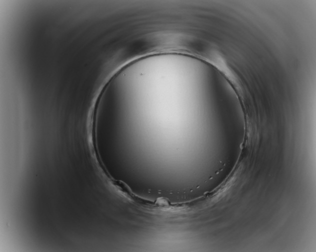 X0000090491102200707201533