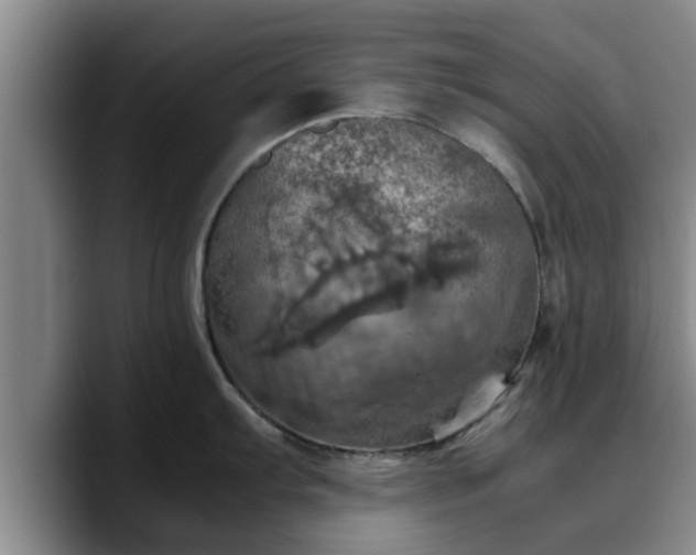 X0000090491103200707201533