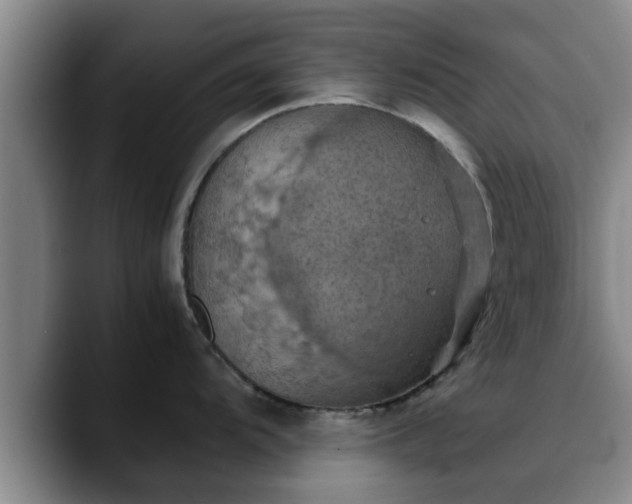 X0000090491104200707201533
