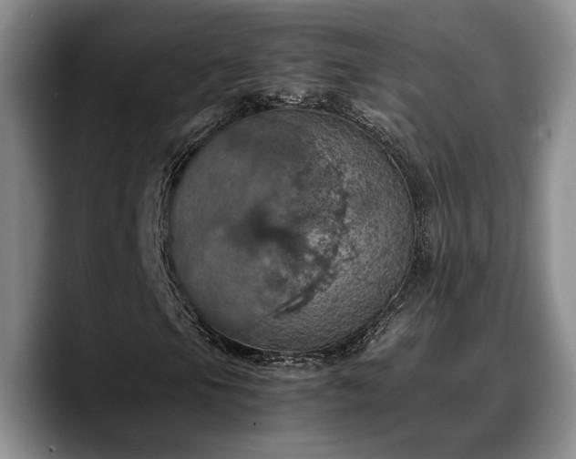 X0000090491105200707201532