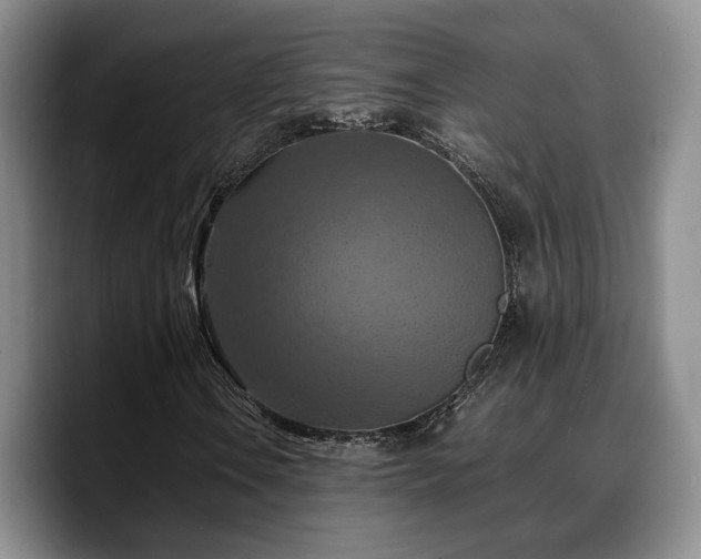 X0000090491106200707201532