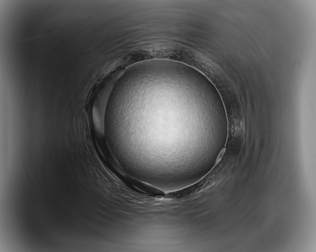 X0000090491108200707201532