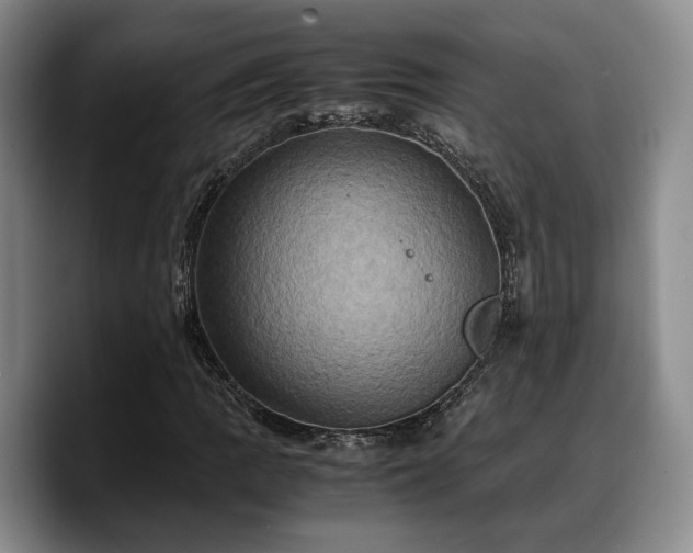 X0000090491109200707201532