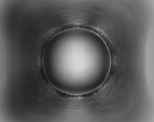 X0000090491110200707201532