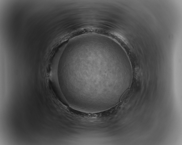 X0000090491111200707201532