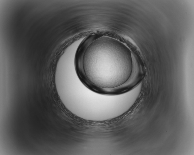 X0000090491112200707201532