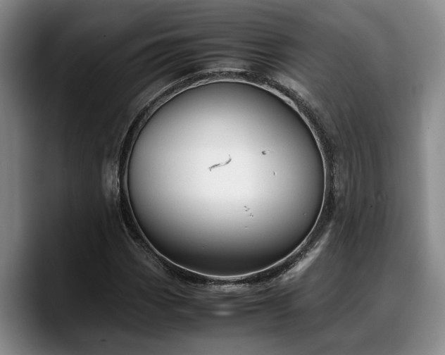 X0000090491113200707201532