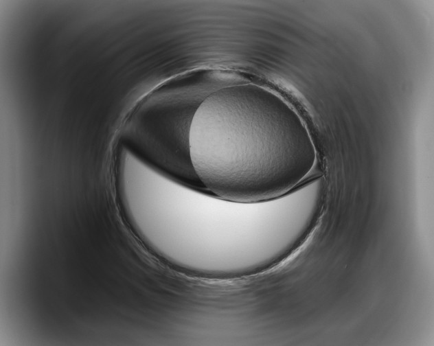 X0000090491114200707201532