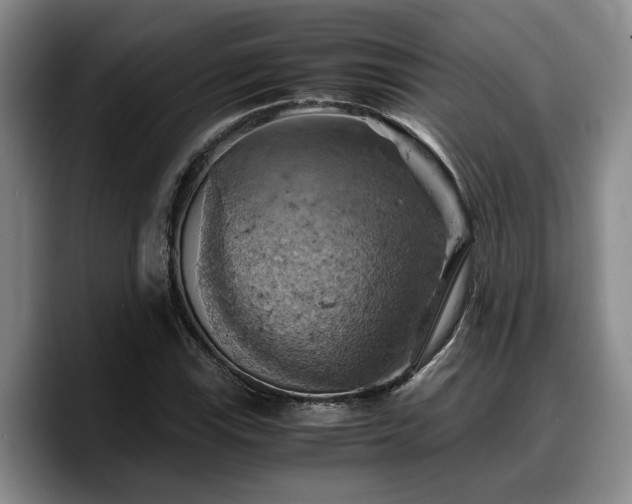 X0000090491115200707201532