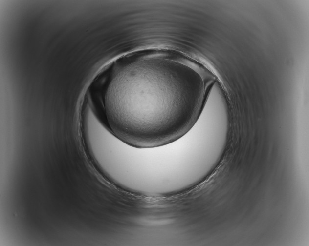 X0000090491116200707201532
