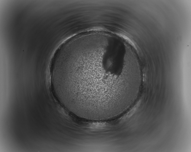 X0000090491117200707201532