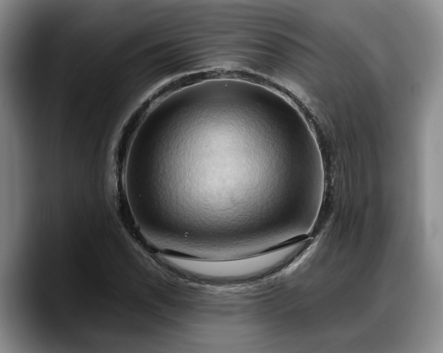 X0000090491118200707201532