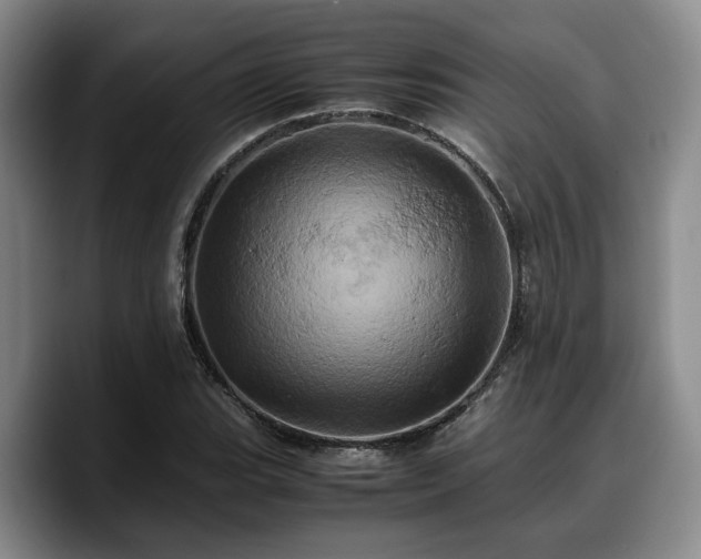 X0000090491119200707201532