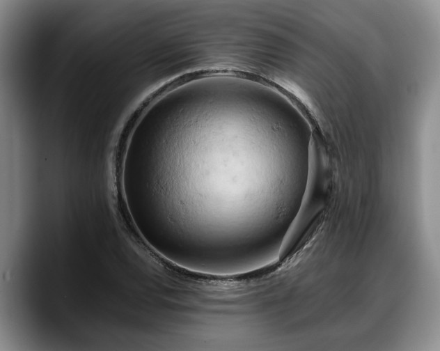 X0000090491120200707201532