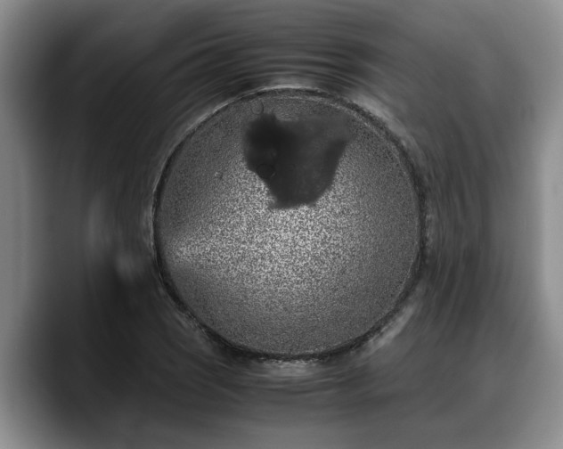 X0000090491121200707201532