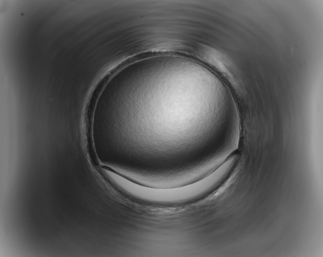 X0000090491122200707201532