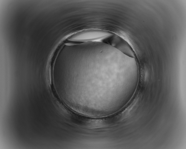X0000090491123200707201532