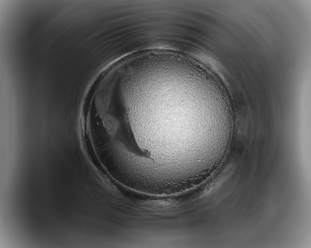 X0000090491125200707201532