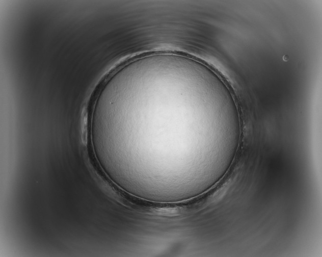 X0000090491126200707201532