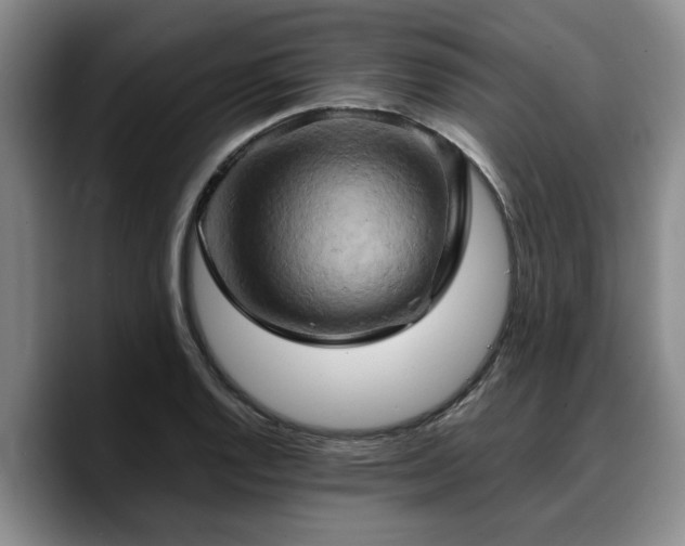 X0000090491128200707201532