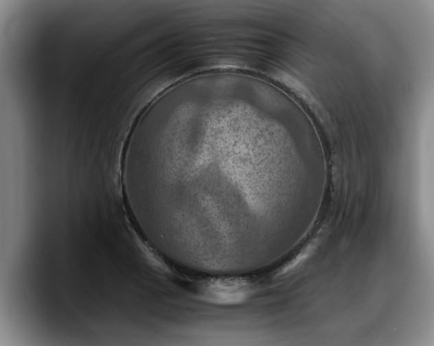 X0000090491129200707201532