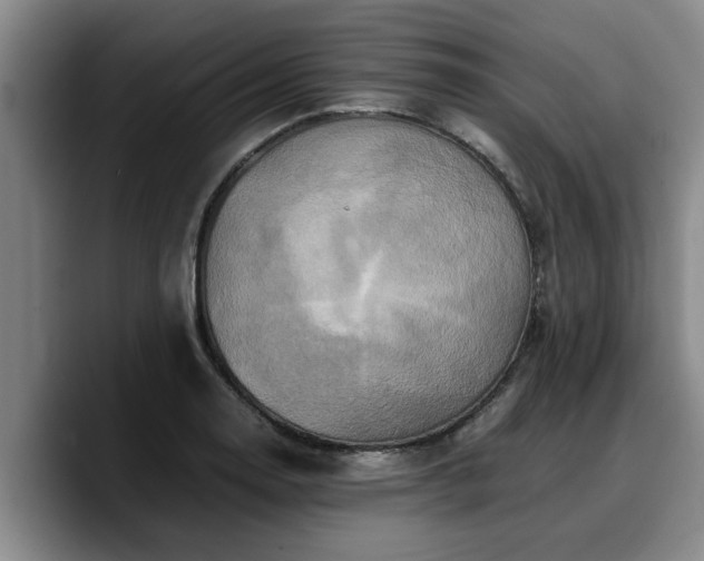 X0000090491130200707201532