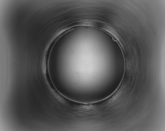 X0000090491131200707201532