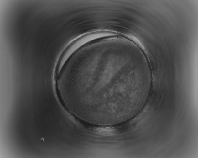 X0000090491133200707201532