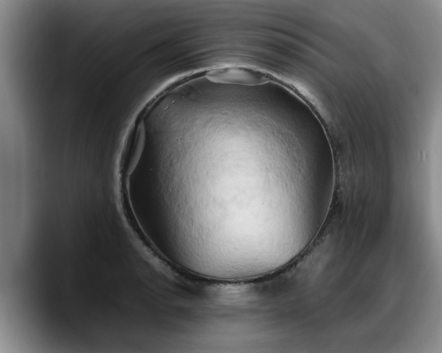 X0000090491134200707201532
