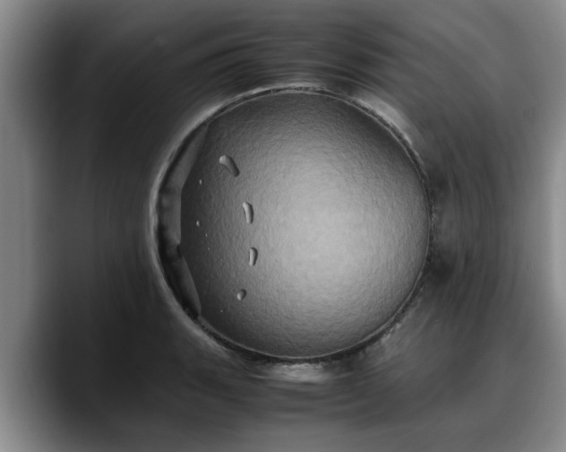 X0000090491135200707201532