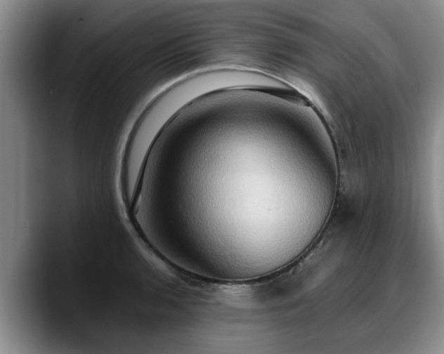 X0000090491136200707201532
