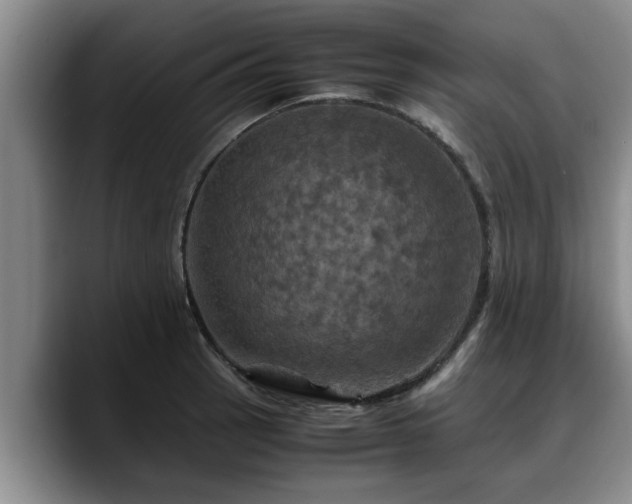 X0000090491137200707201532