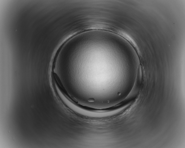 X0000090491138200707201532