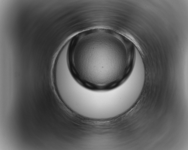 X0000090491140200707201532