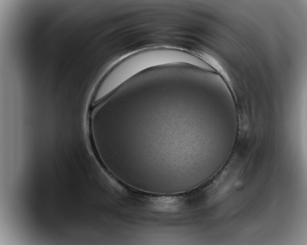 X0000090491141200707201532