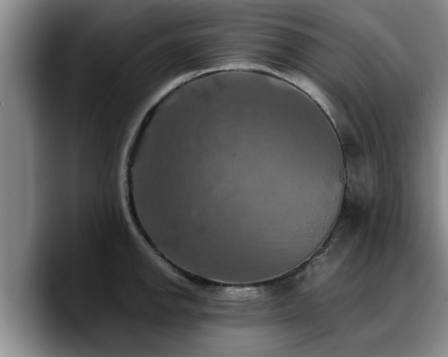 X0000090491142200707201532