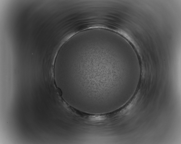 X0000090491145200707201533