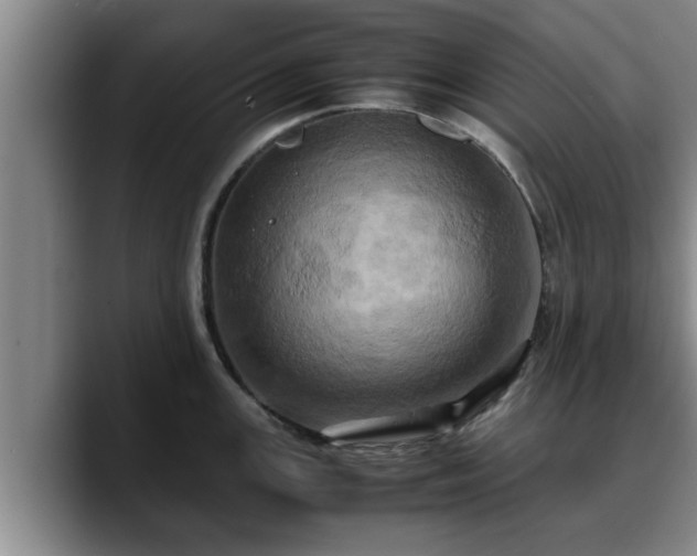 X0000090491147200707201533