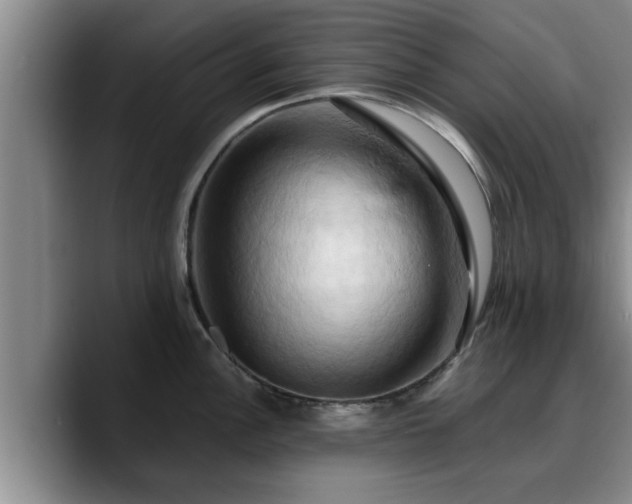 X0000090491148200707201533
