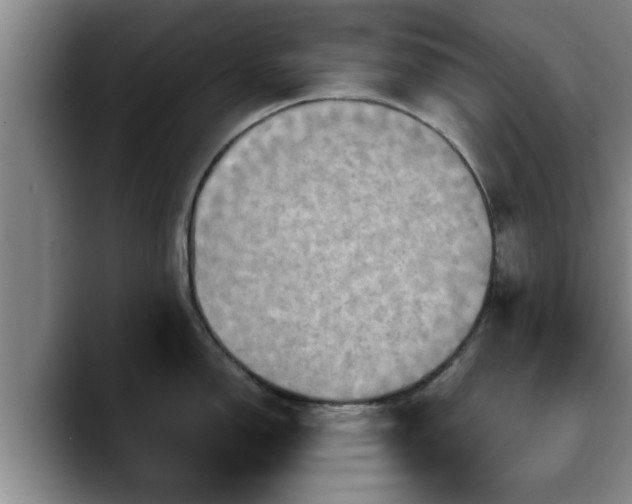 X0000090491150200707201533
