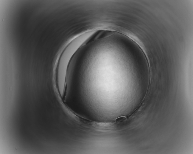 X0000090491152200707201533